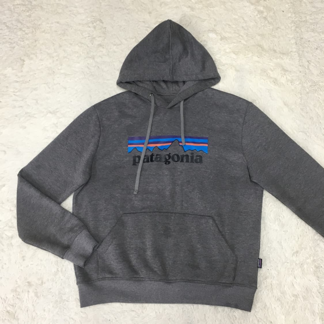 파타고니아 빅로고 후드티 DD15 상품이미지1