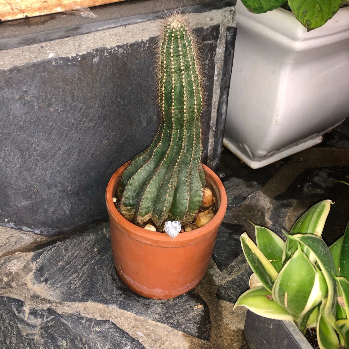 설명을 해주면 9 🧱  상품이미지6