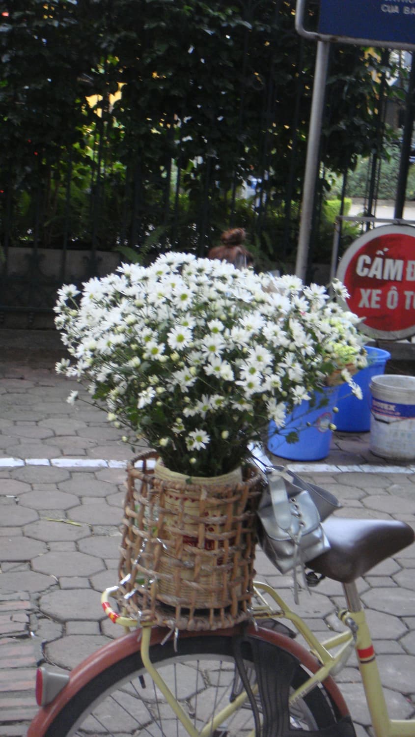 Sony cybershot DSC-T700 상품이미지10