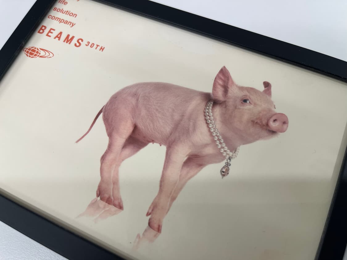 빔즈 30주년 기념 한정 아트 포토 Beams AD2006 상품이미지2