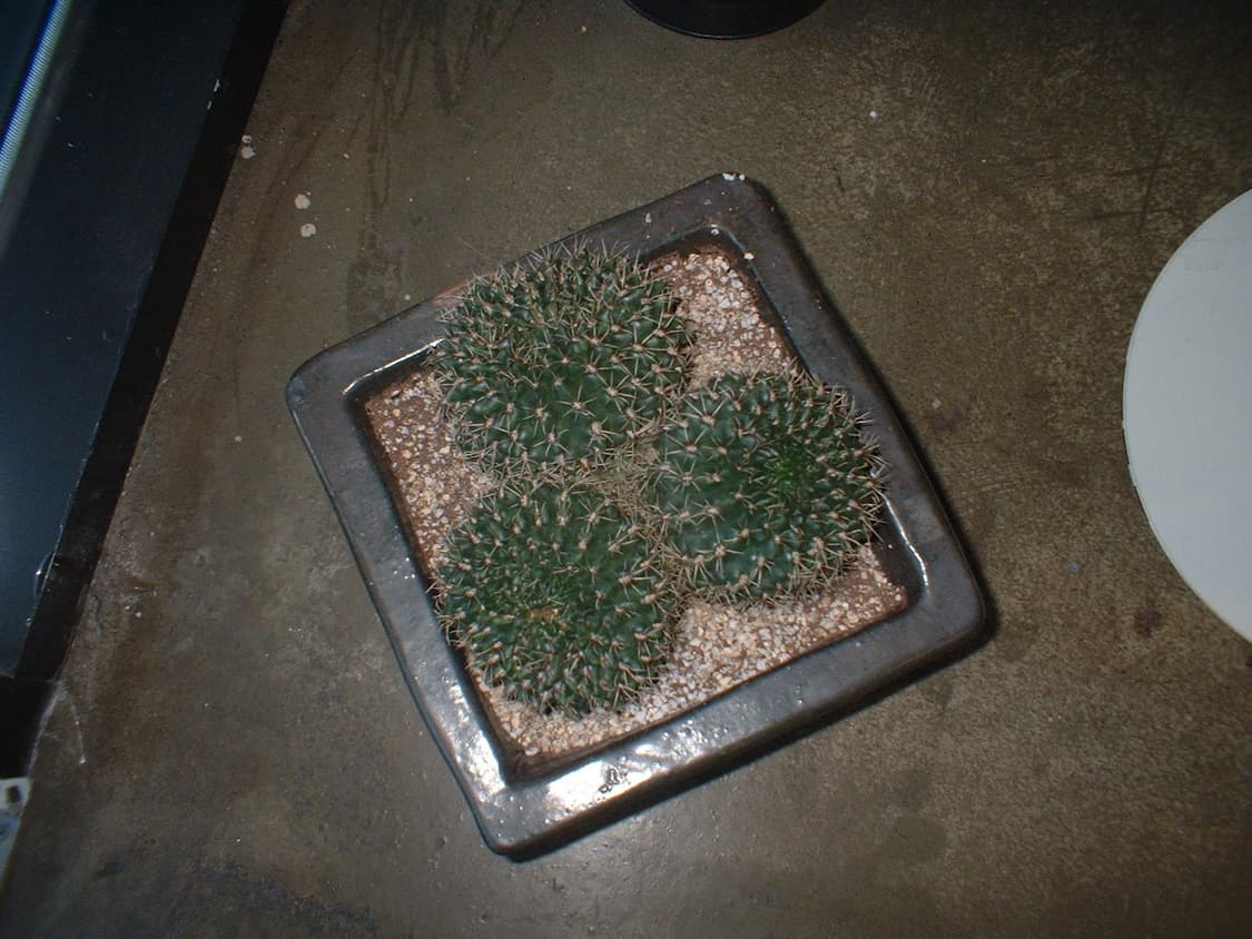 스미카케이블/풀박/xd카드256mb)후지필름 파인픽스 A202 빈티지디카 상품이미지10