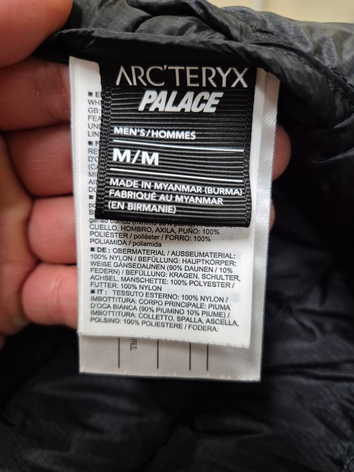 M) 아크테릭스 팔라스 세륨 lt 후디 상품이미지6