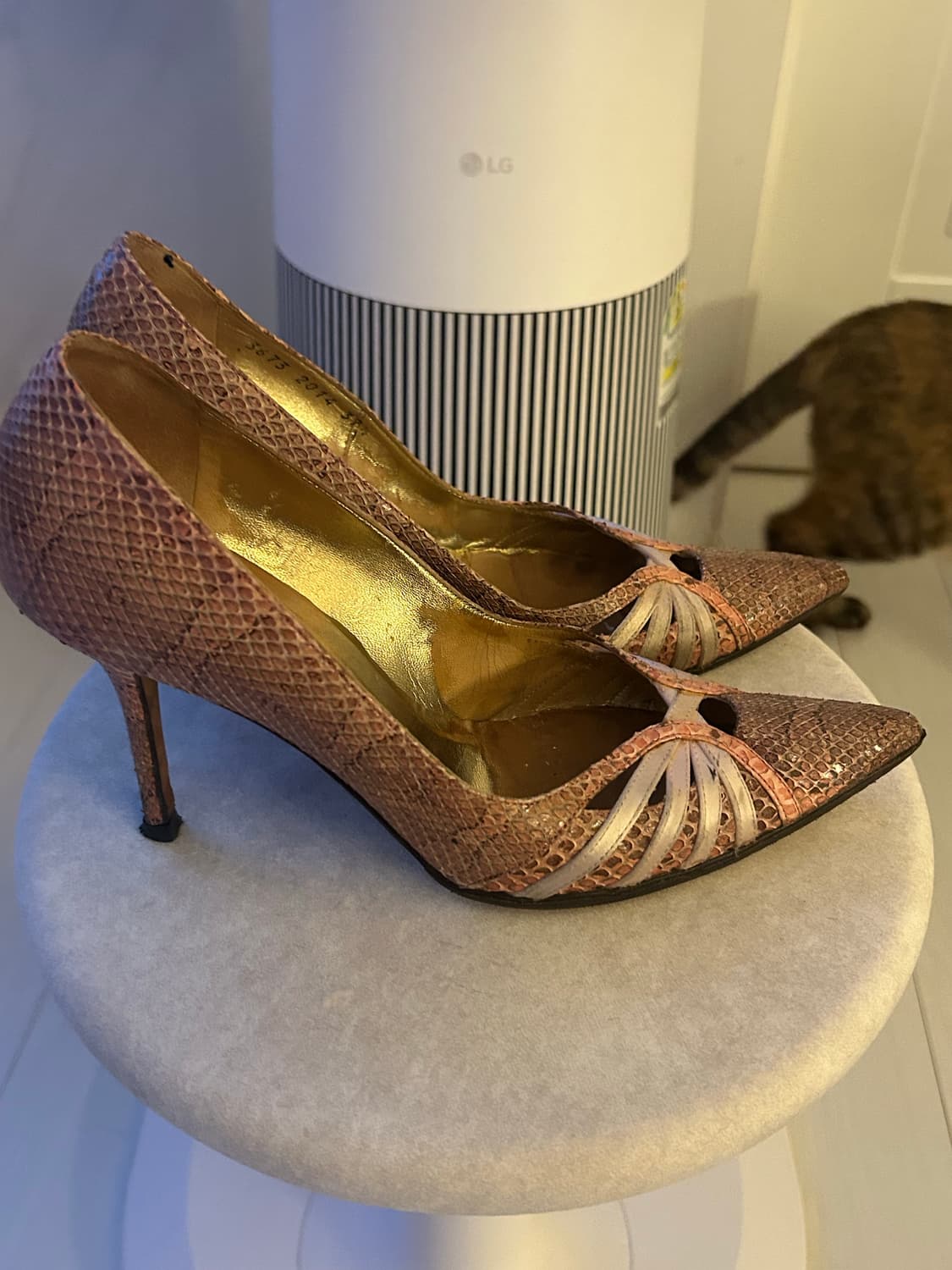 돌체앤가바나 힐 235mm 상품이미지5