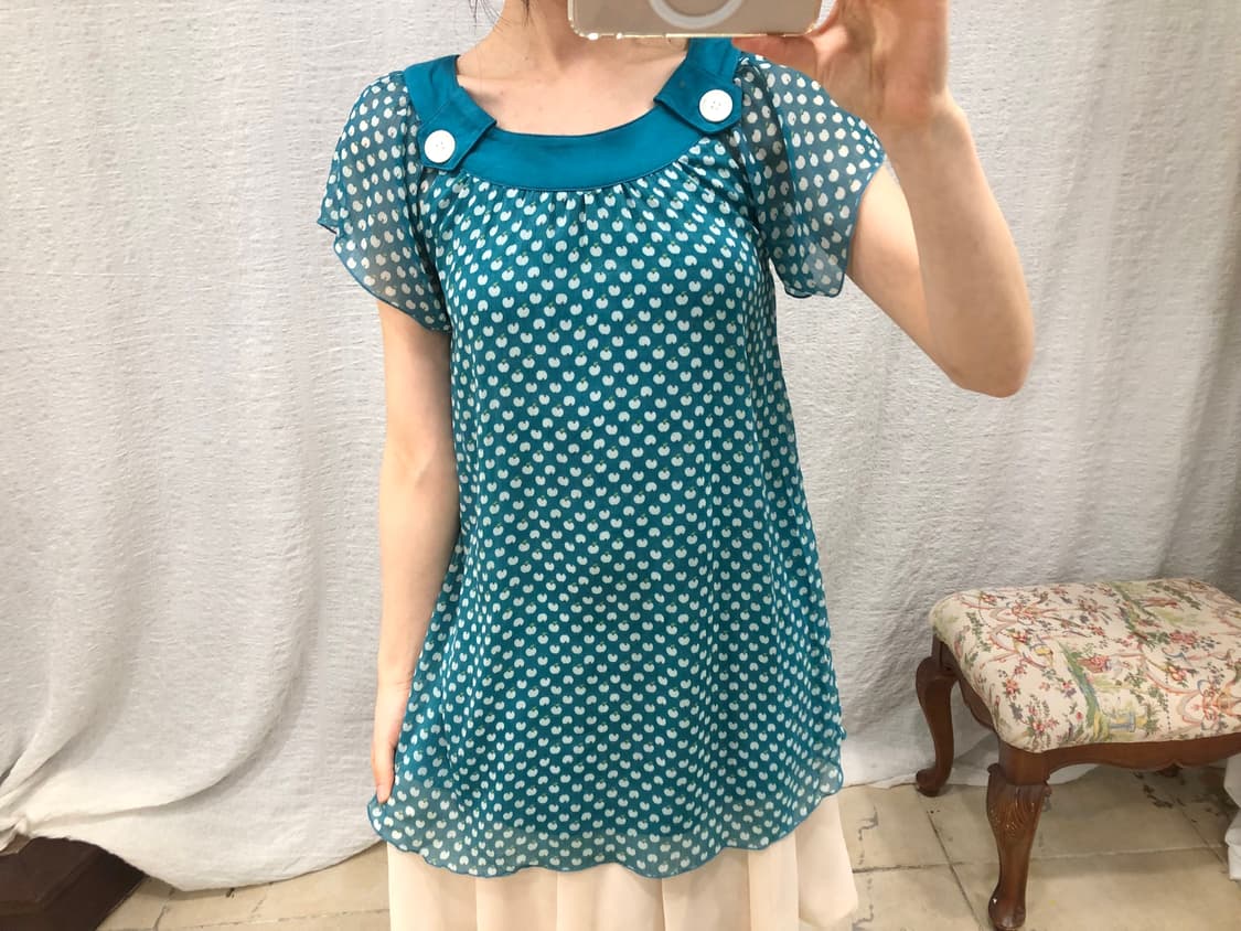 Blue apple blouse 상품이미지1