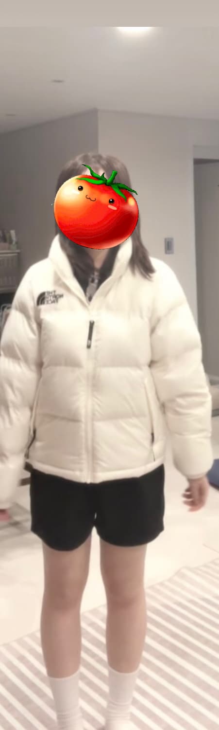 노스페이스 여성 눕시 온볼 자켓 패딩 크림 m(90) NJ3NR8 상품이미지2