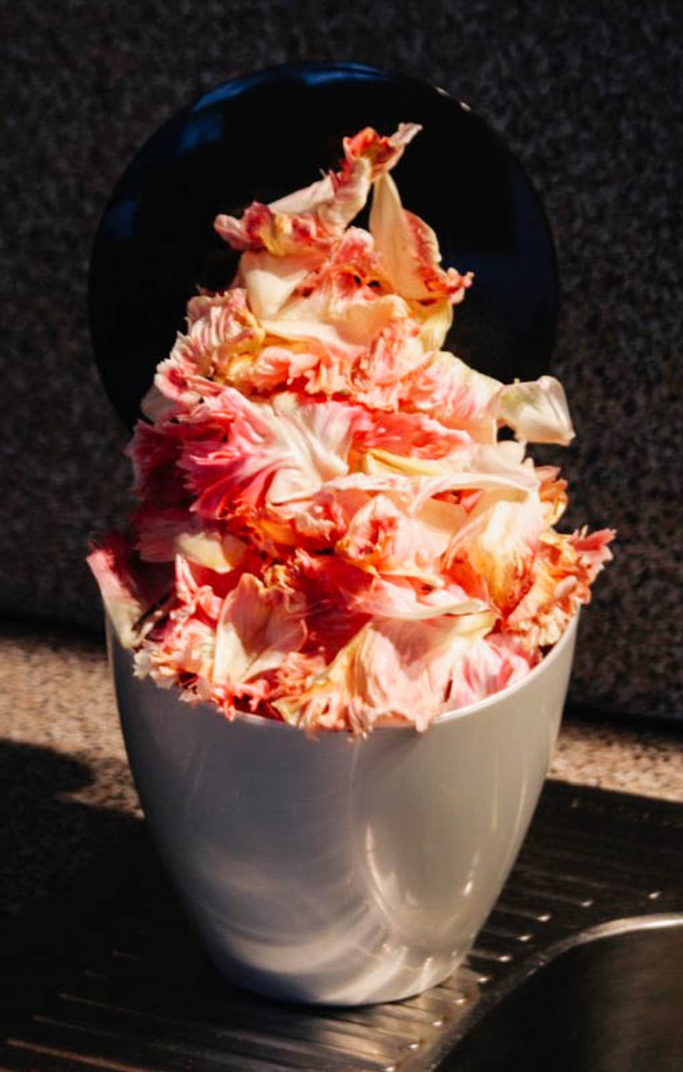 Fujifilm FinePix A920 (후지필름 A920) 상품이미지8