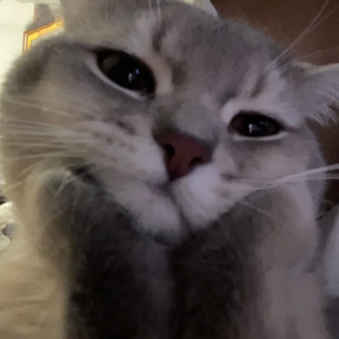 eeehohc - Private Payment Link 상품이미지1