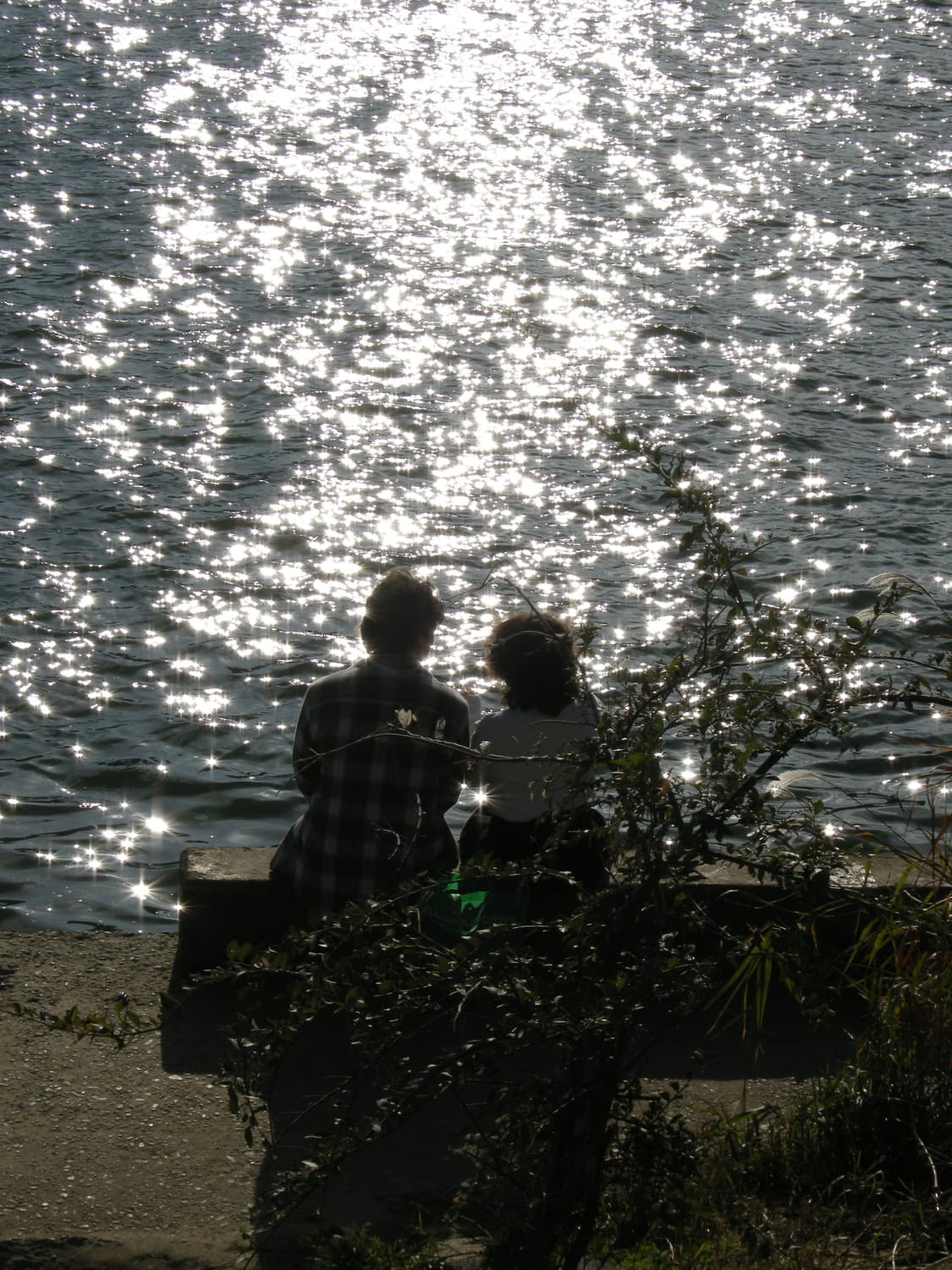 니콘 coolpix P5000 (작례O) 상품이미지2