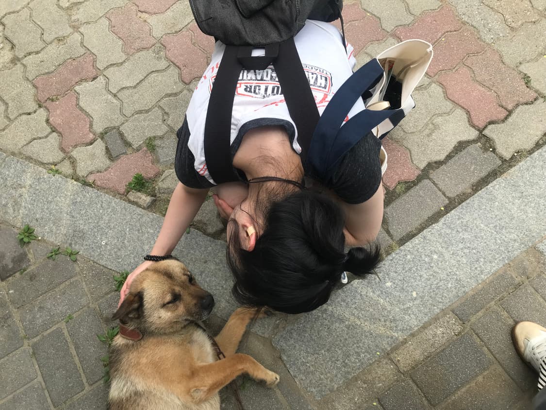 Harley Davidson 여성 반팔 티셔츠 상품이미지3