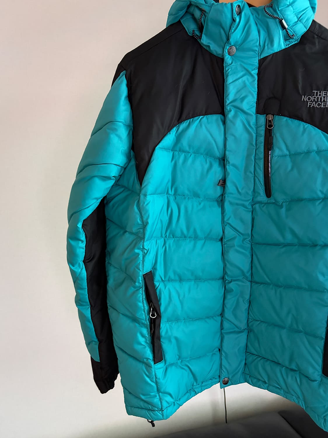 노스페이스 써밍 900 윈드스토퍼 패딩 (해외 L)  상품이미지2