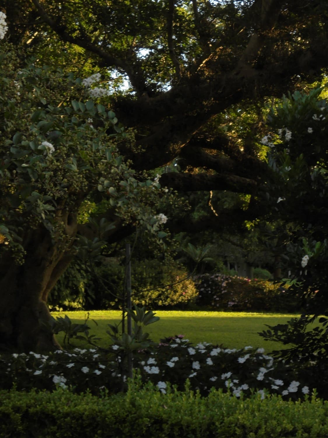 🍎 희귀) Nikon Coolpix 쿨픽스 S6100 작례 O 상품이미지4