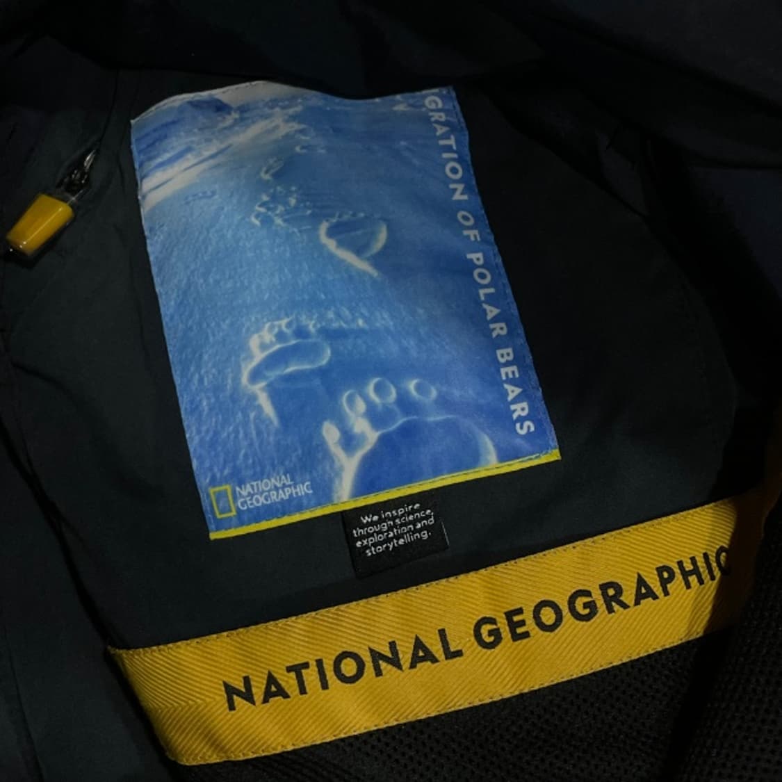 100 내셔널지오그래픽 와펜 패딩  상품이미지5