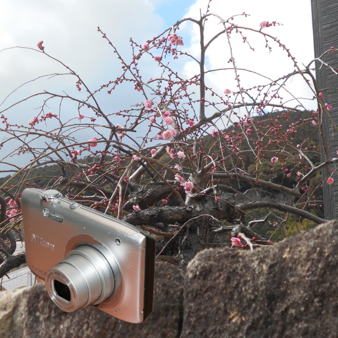 Coolpix A100(🎁풀패키지/✨ A급) 상품이미지6