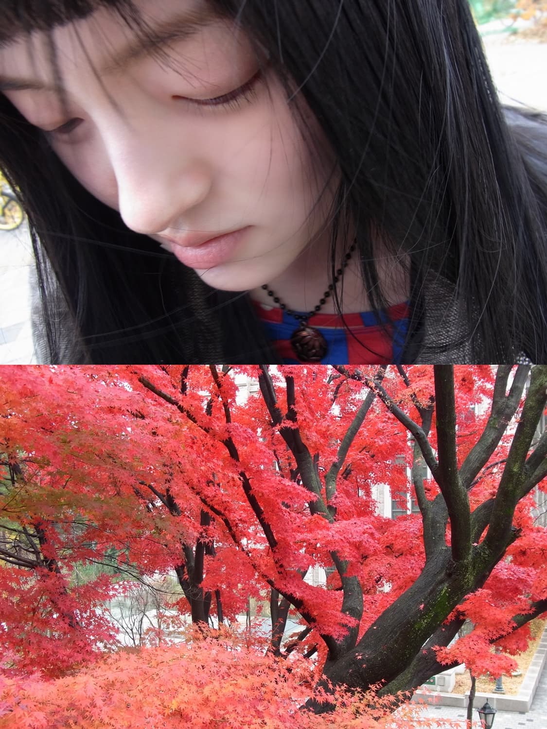 🪻리코 CX3🪻 빈티지 디카 상품이미지7