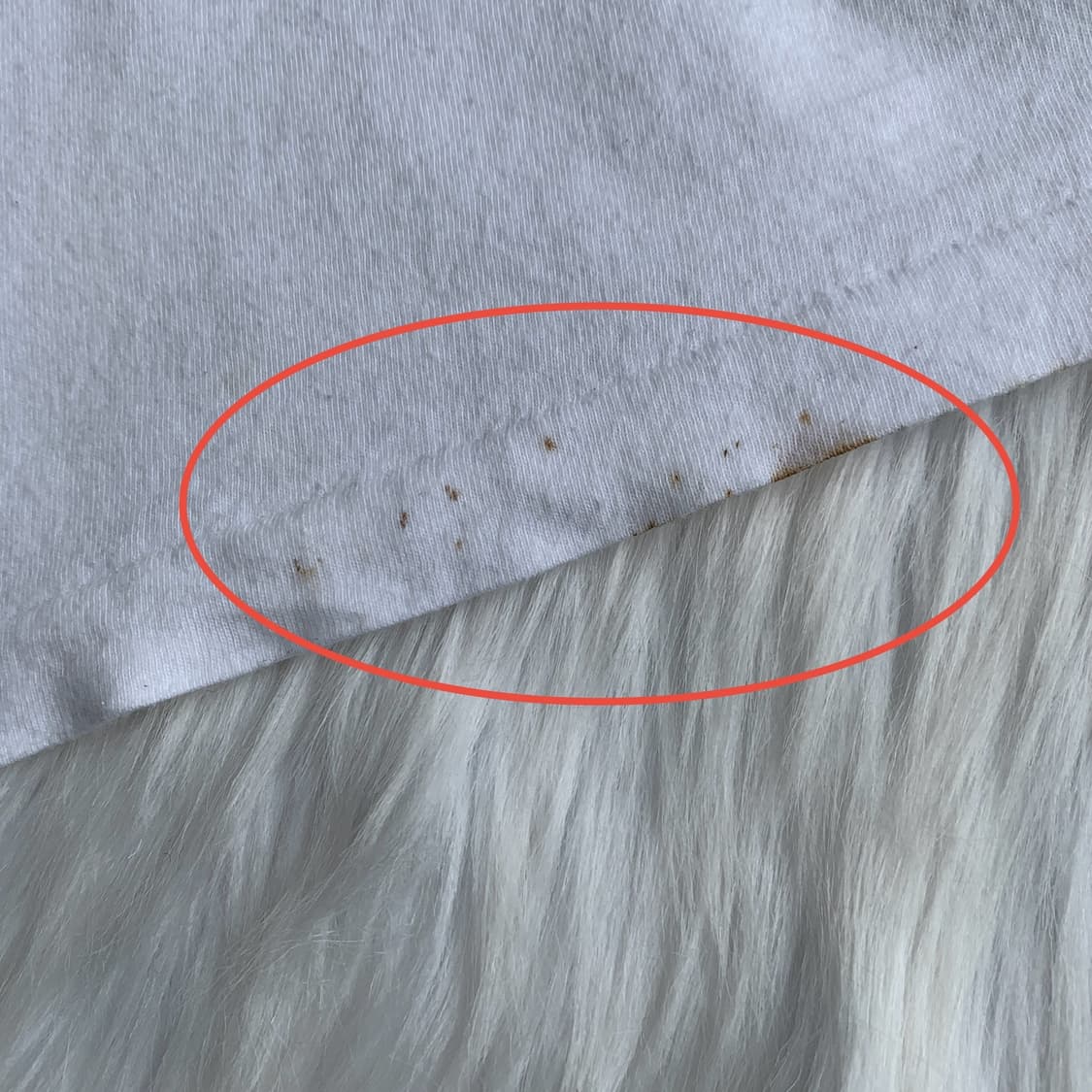 마하 GOGOGO 빈티지 반팔 티셔츠 1912 상품이미지5