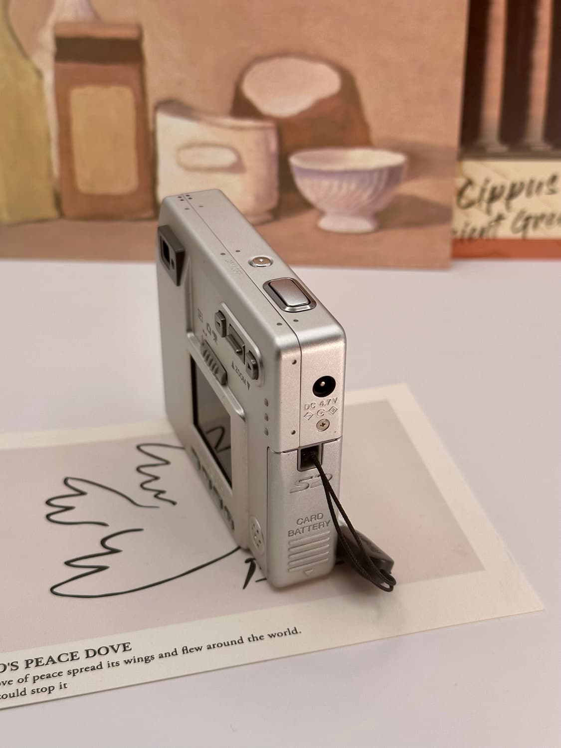 미놀타 DiMAGE X 일 상품이미지3