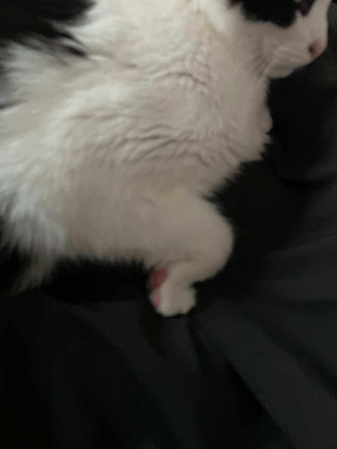 Rickchrome님 릭 스투지 48 결제창 상품이미지1