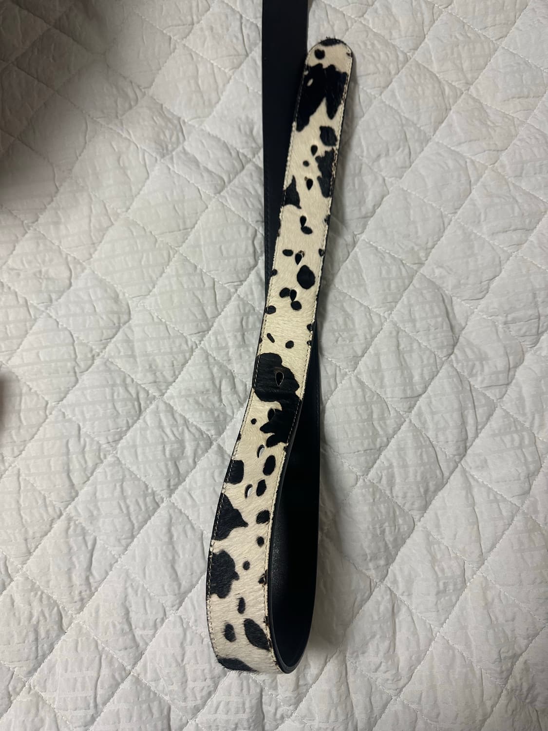 Xlim 엑슬림 송치 벨트 아이보리 상품이미지3