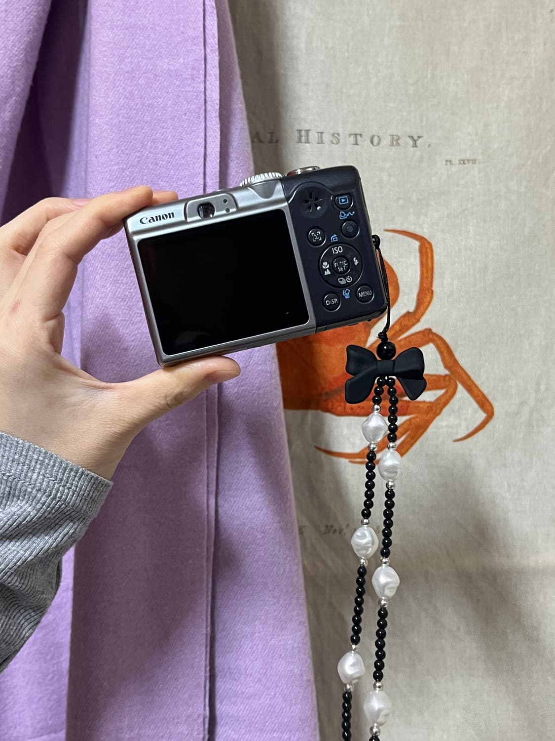 캐논 A1000is 상품이미지2