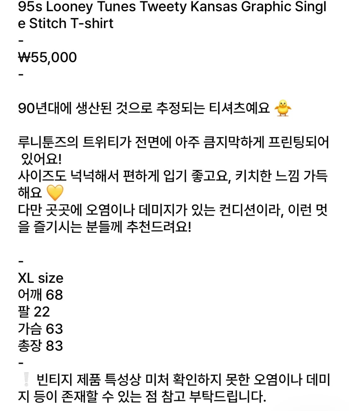 90s 빈티지 루니툰즈 트위티 싱글스티치 빅사이즈 티셔츠 상품이미지8