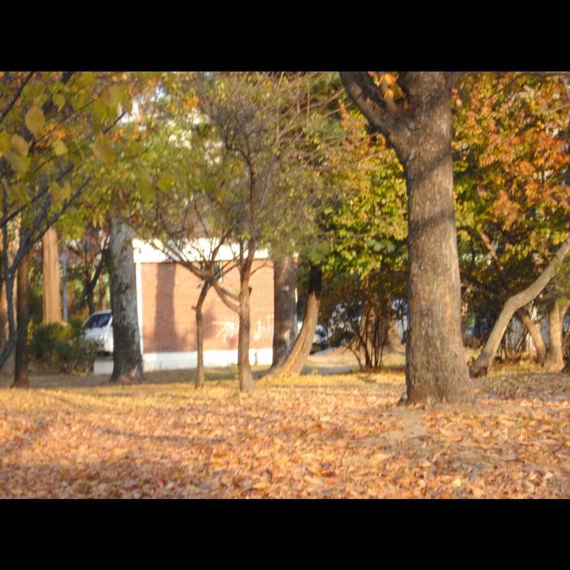 히타치 HDC-1241 + 박스  메탈릭 실버 빈티지 디카 디지털카메라 상품이미지9