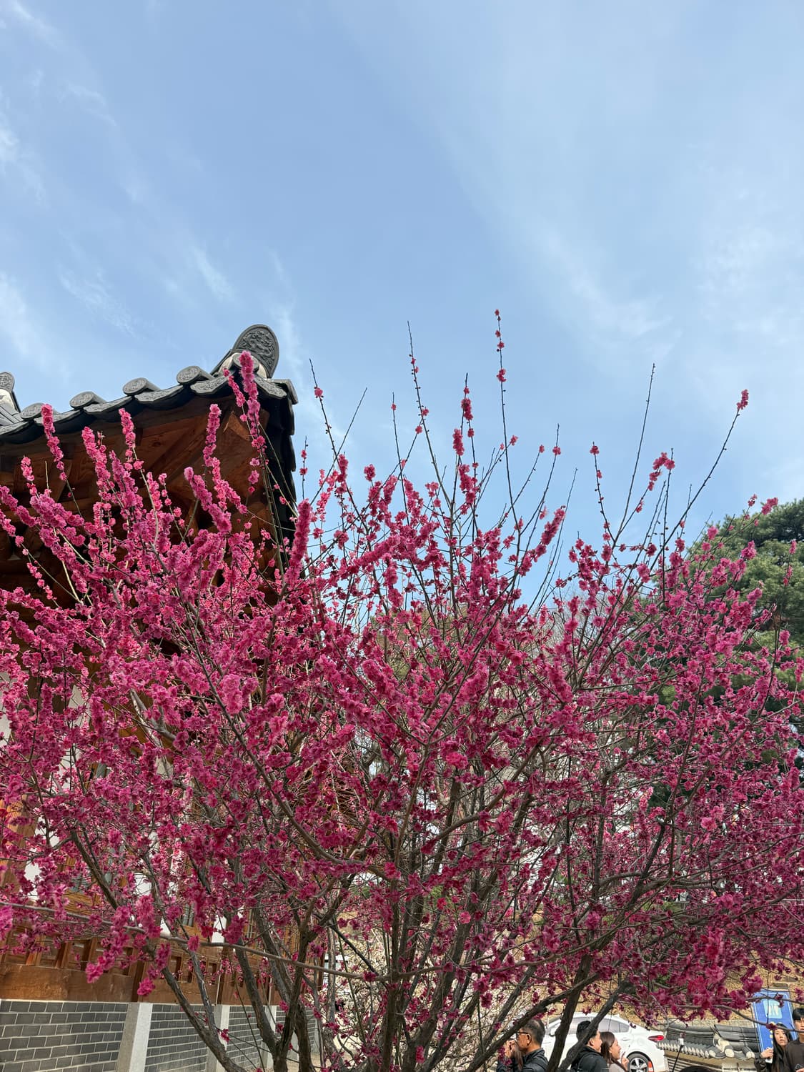 픽업더폰님  상품이미지1