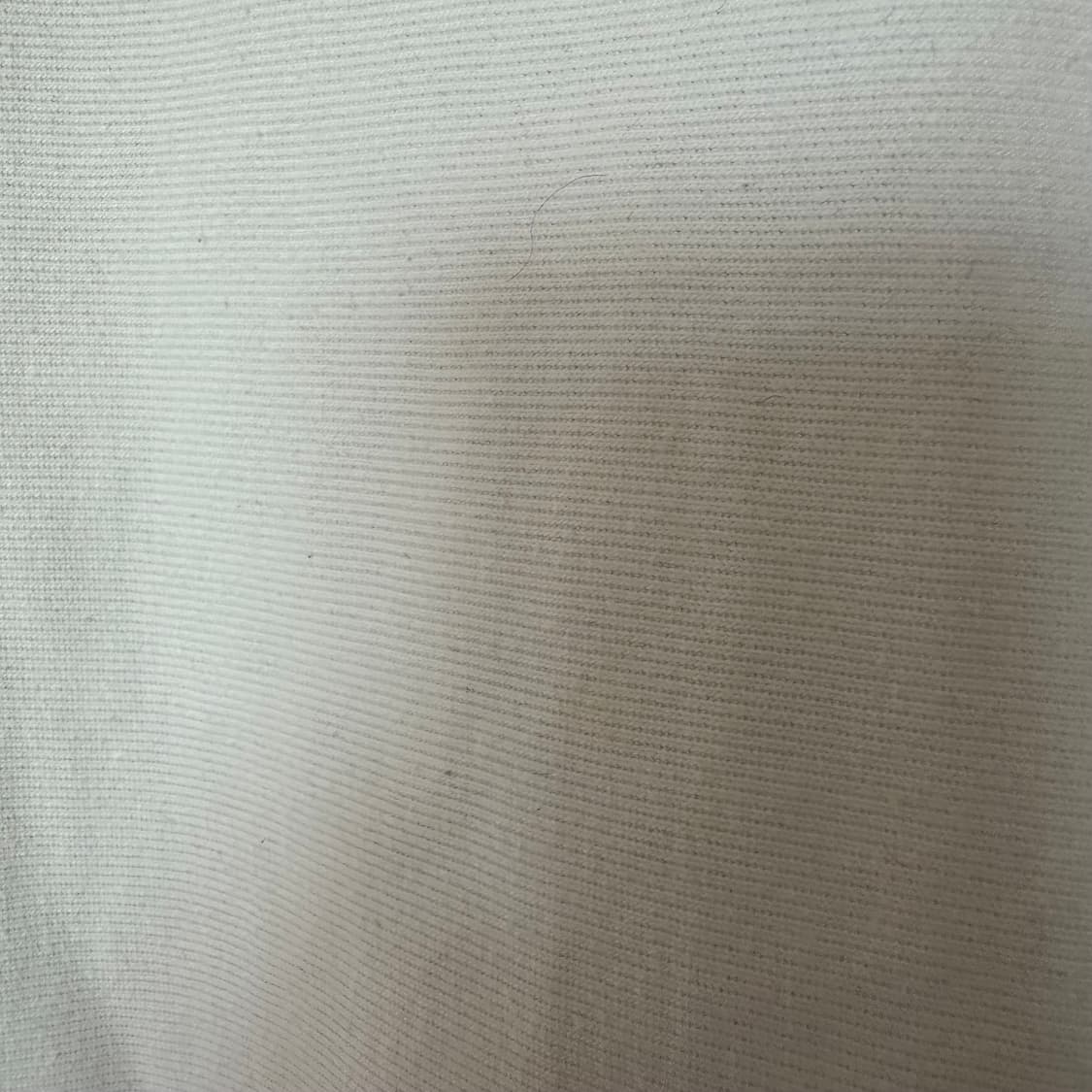 L 챔피온 리버스위브 맨투맨 상품이미지3