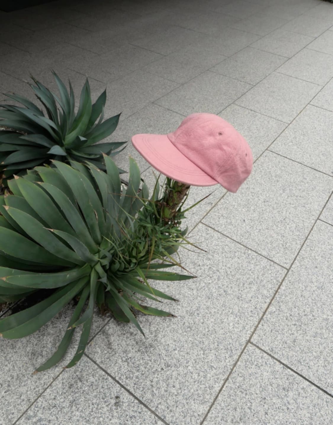 Lankas 캡 모자  상품이미지1