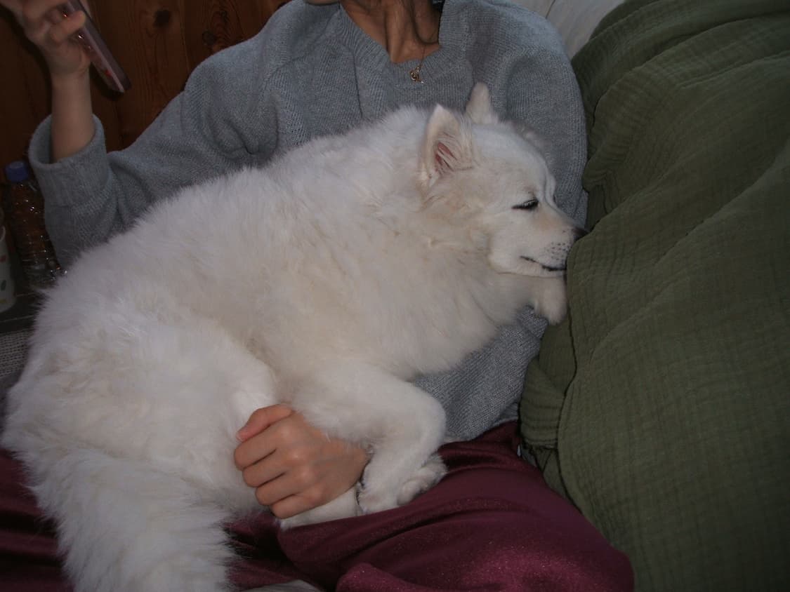 후지필름 파인픽스f450 디카 상품이미지7