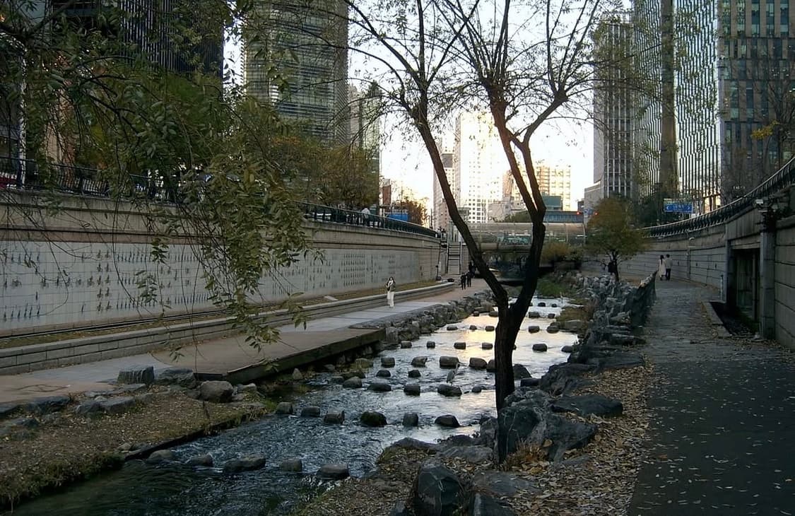 삼성 캐녹스V4 빈티지카메라 디카 상품이미지4