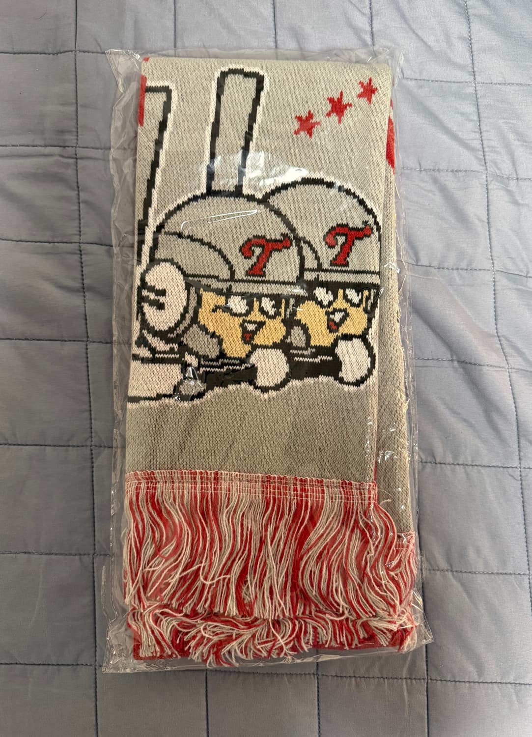 LG트윈스 빠더너스 BDNS 머플러 (목도리) 상품이미지1