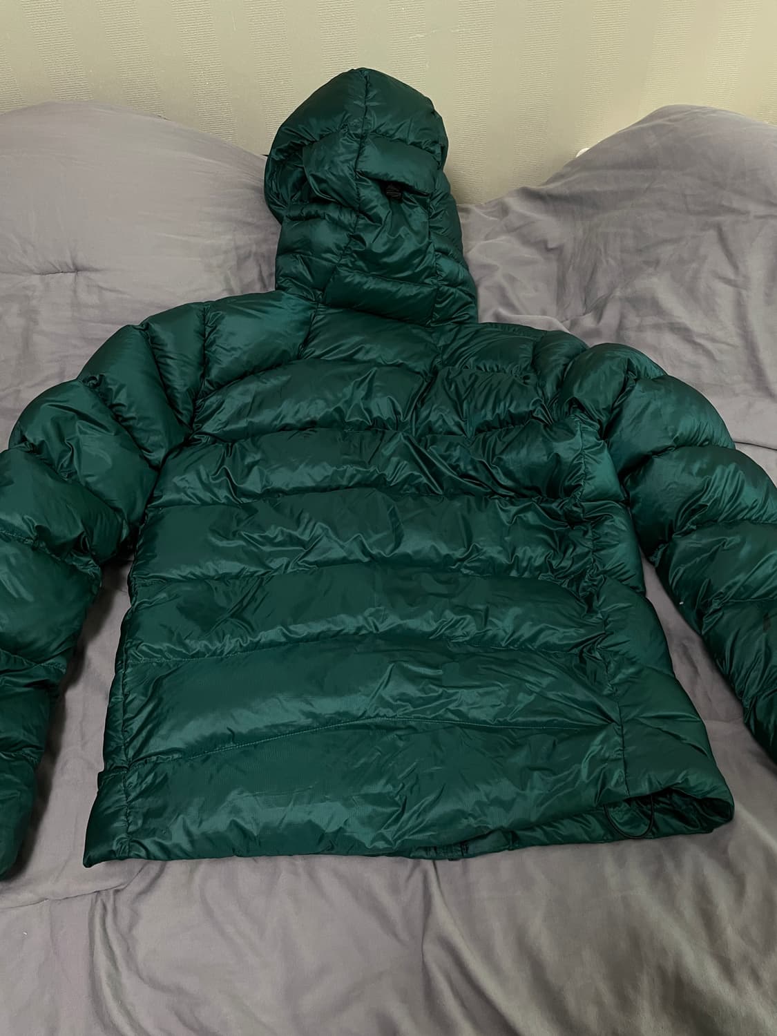 파타고니아 피츠로이 그린 상품이미지3