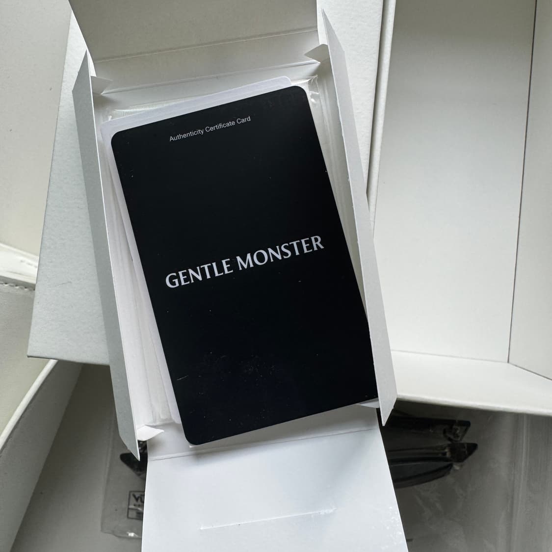 젠틀몬스터 Duns 던스 BRC11 상품이미지3