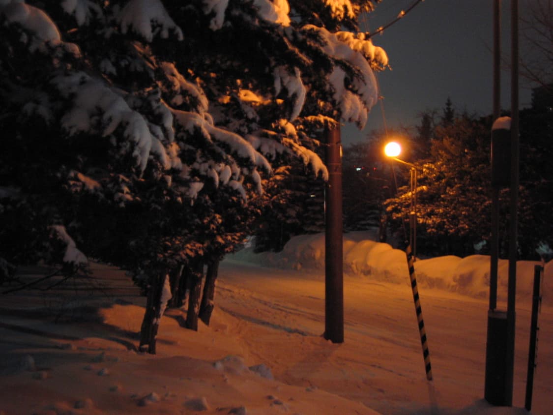 빈티지 디카캐논 ixy L 익시 L 상품이미지9