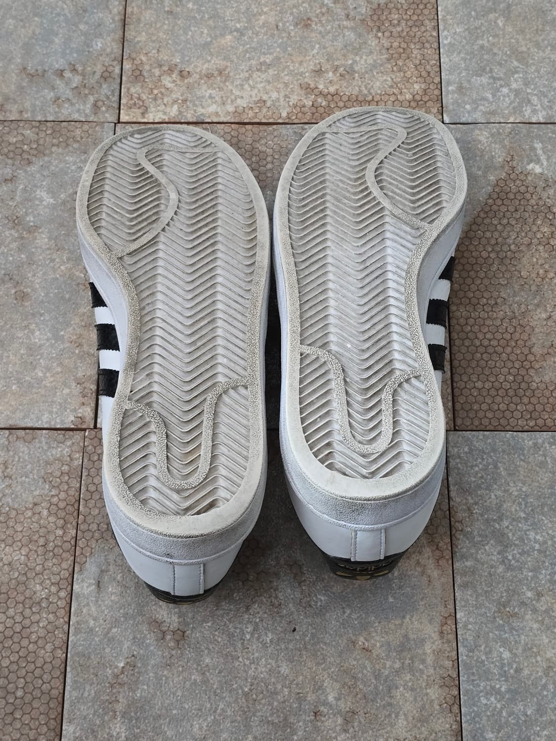 (265)아디다스 캠퍼스 레더 상품이미지10