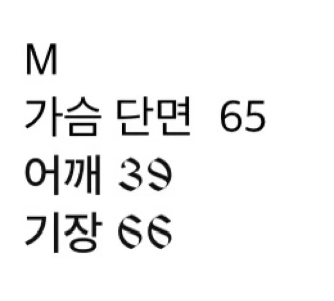 블랙아웃 헬레이저 베스트 리버시블 M 상품이미지2