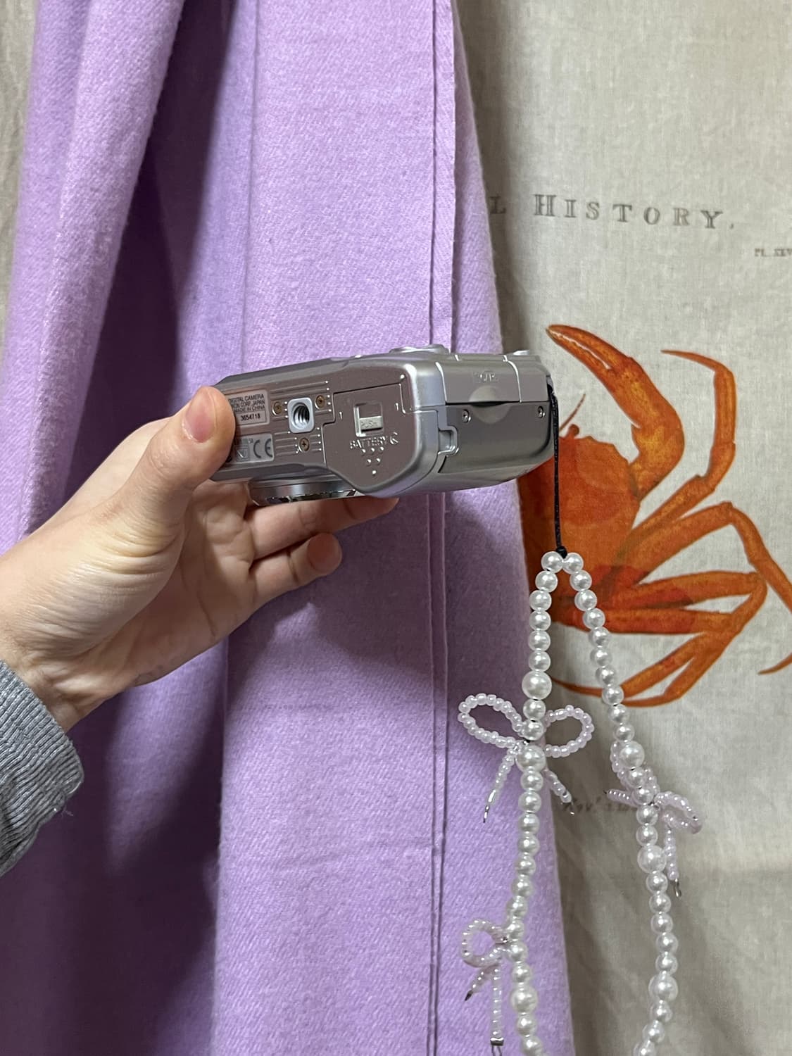 니콘 쿨픽스 3200 상품이미지3