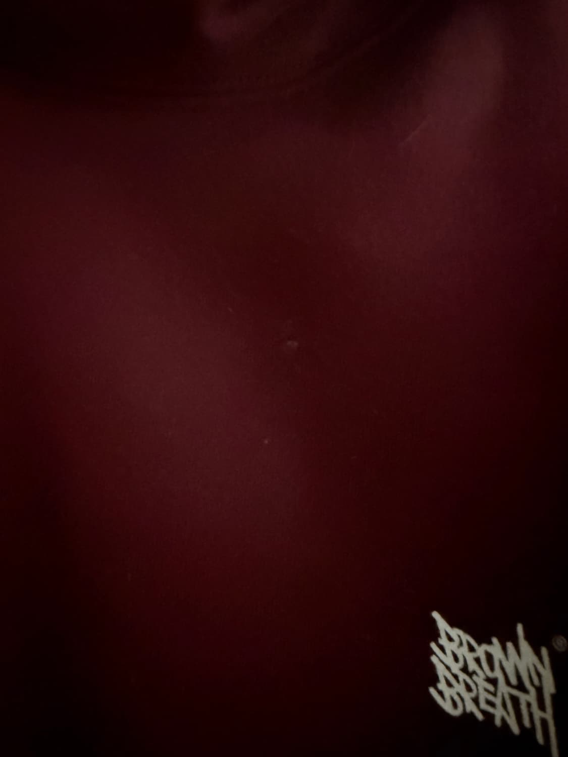 브라운브레스 버건디 후드 XL 상품이미지4