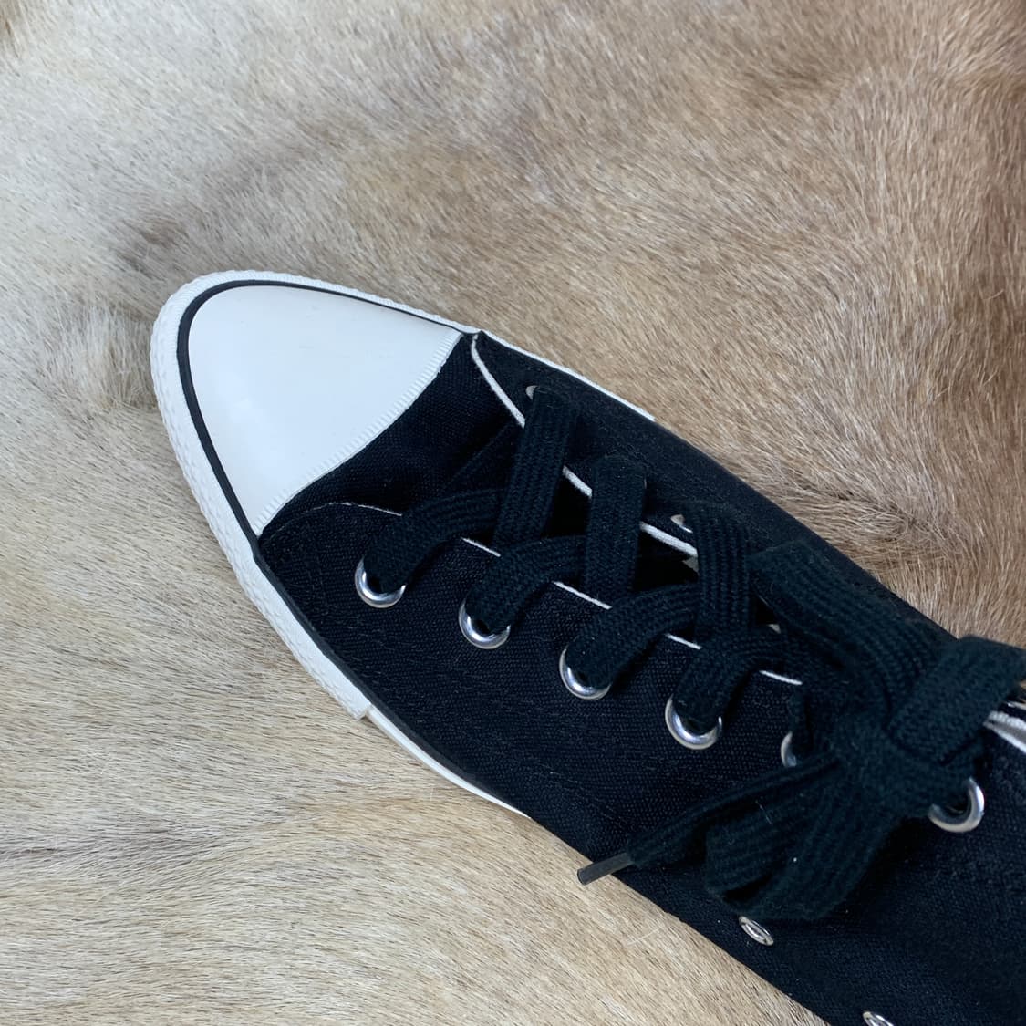 꼼데가르송 옴므 플러스 스켈레토 컨버스 슈즈 상품이미지5