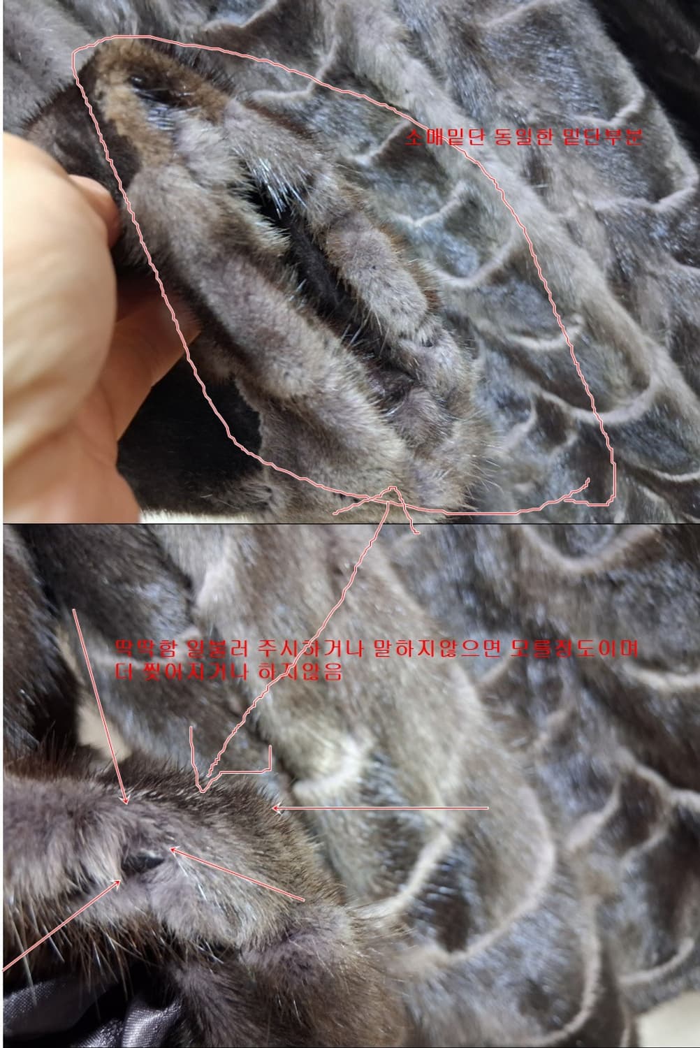 데미안 그레이  밍크코트 여성 66
국내판 데미안 브랜드 천연밍크모피쟈켓 상품이미지6