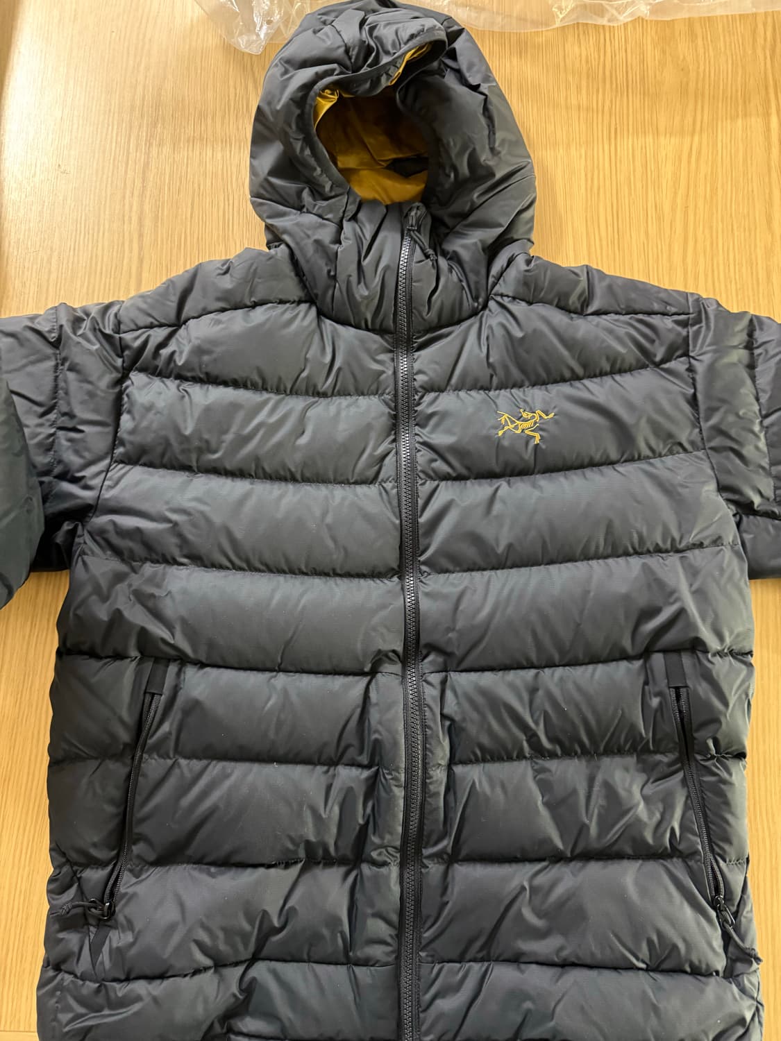 아크테릭스 토륨 후디 24K 상품이미지1