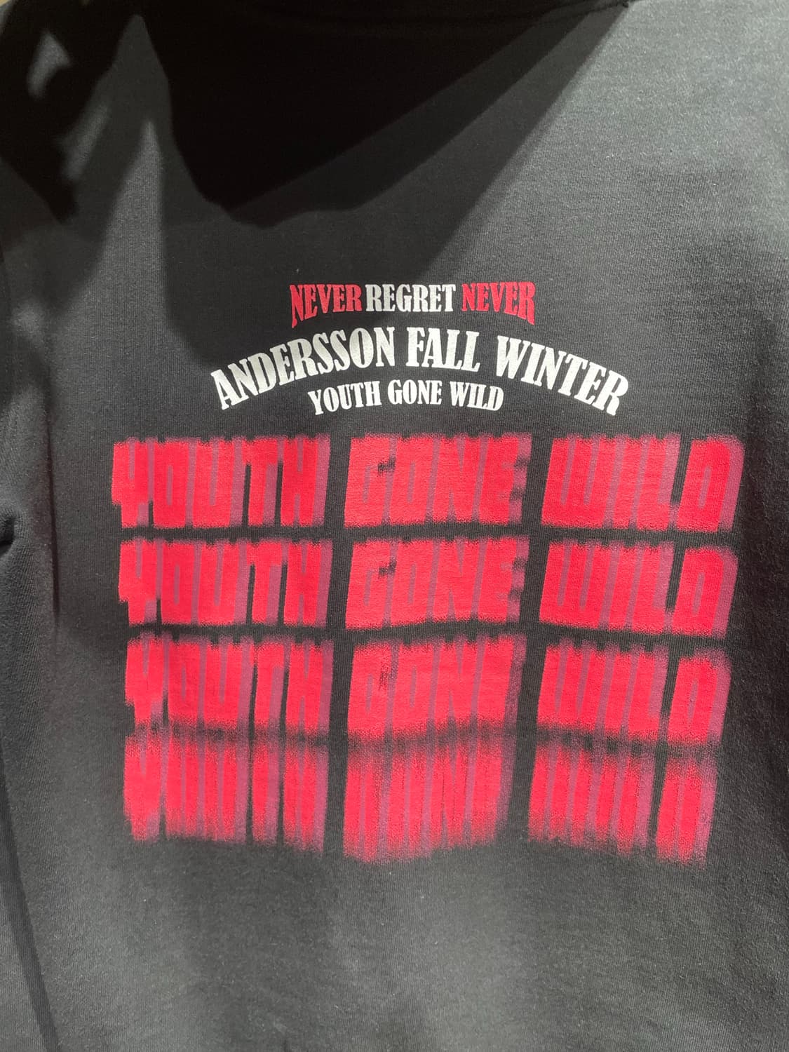 앤더슨벨 크래픽 후드티  상품이미지5