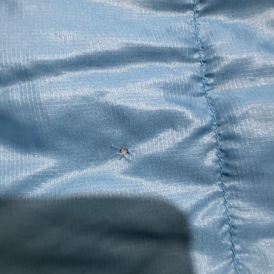 노스페이스 눕시 블루 블랙 패딩 상품이미지8