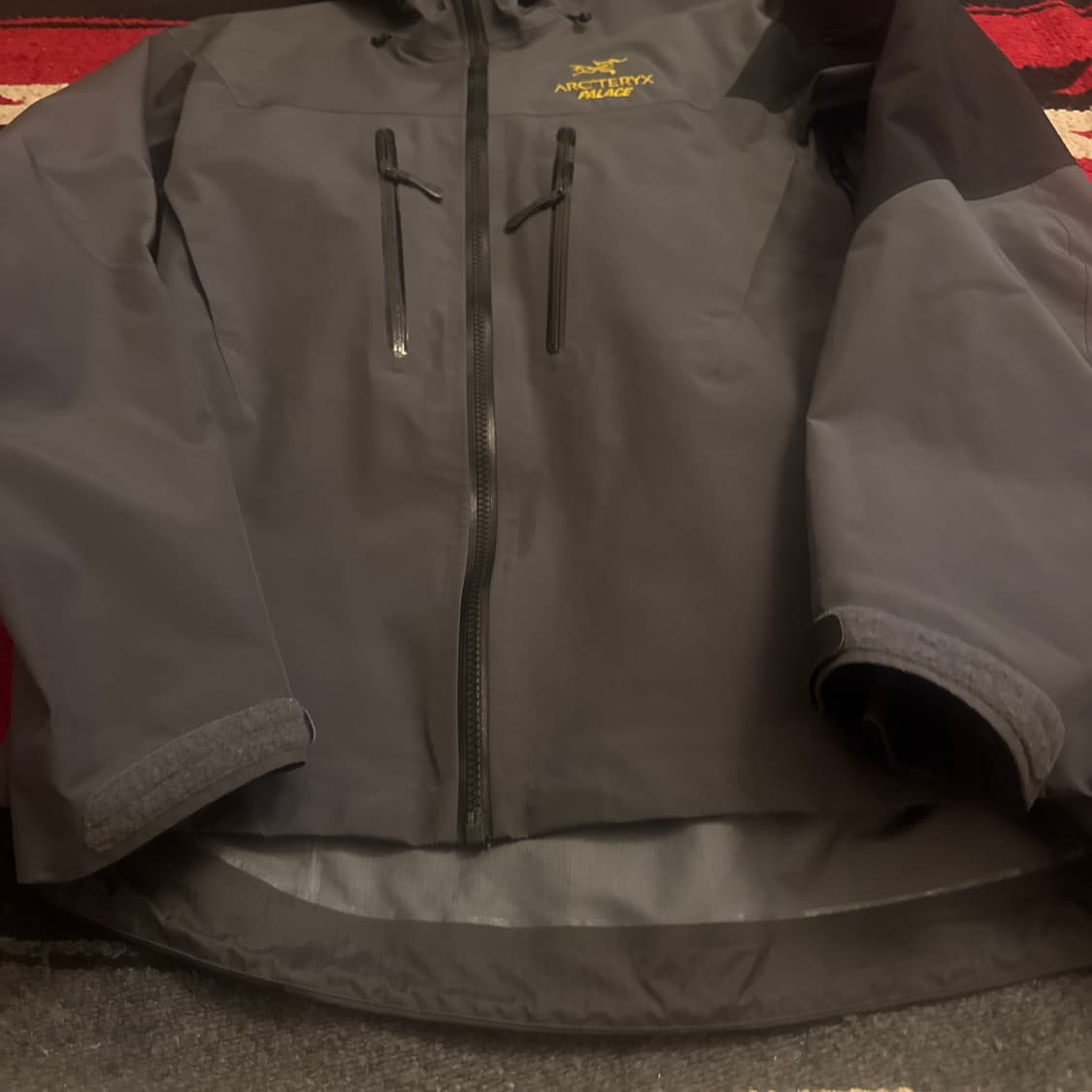 아크테릭스 팔라스 sv 상품이미지4