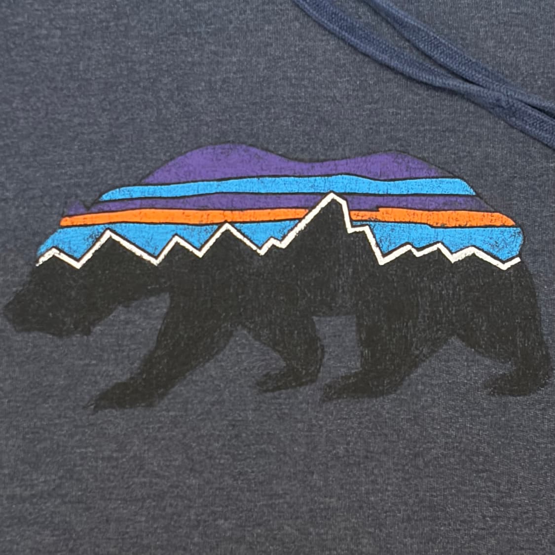 USA 빈티지 파타고니아 빅베어 로고 후드티 상품이미지5