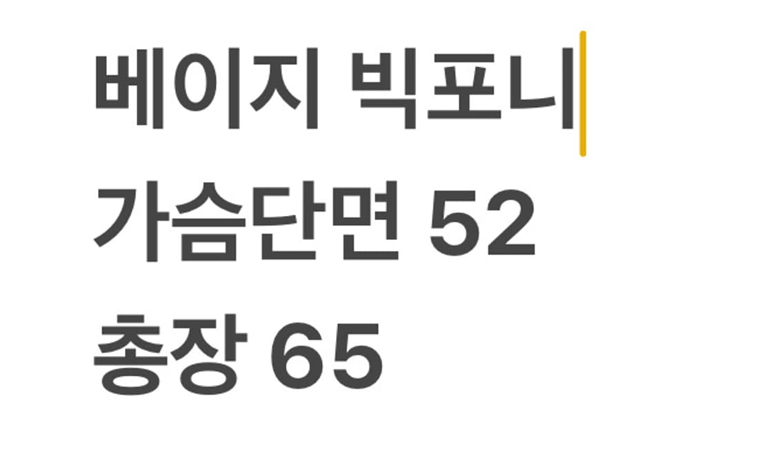 폴로랄프로렌 베이지 빅포니 카라티 상품이미지6