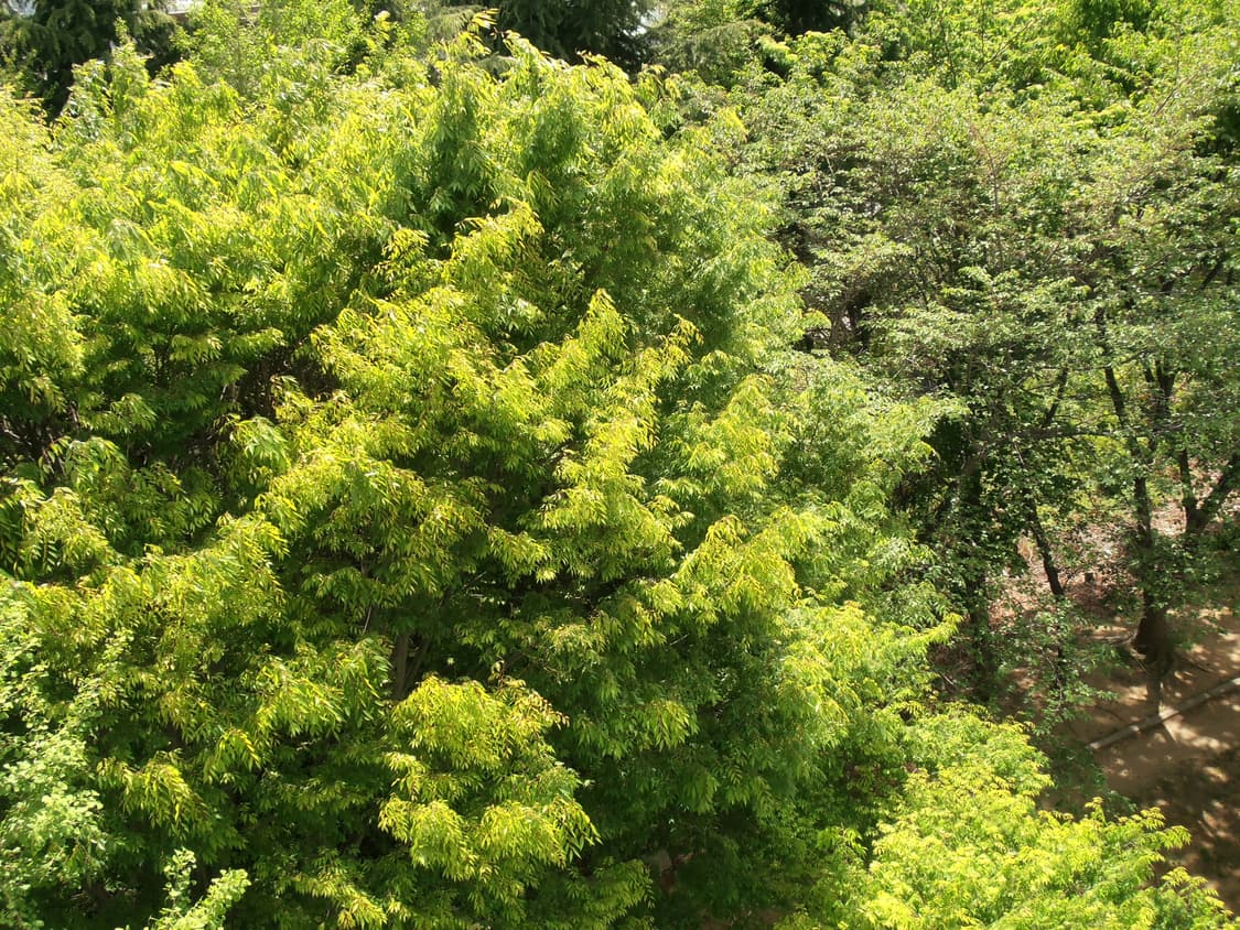 올림푸스 VR-330 디카//작례O 상품이미지6