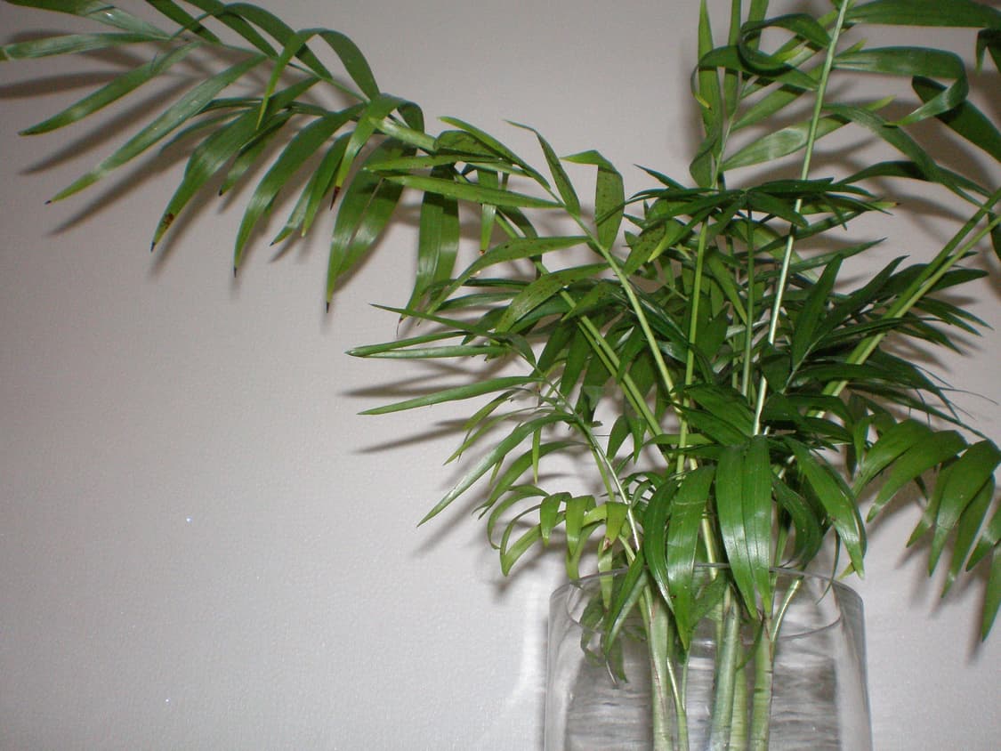 작례O) 올림푸스 Olympus X-750 상품이미지5