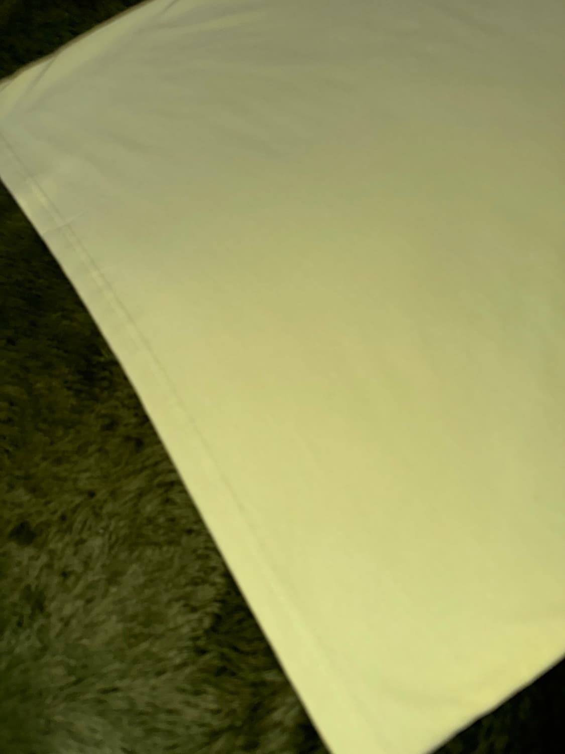 [L] OSTRYA 오스트리야 스월 로고 5050 티셔츠 라임 상품이미지9