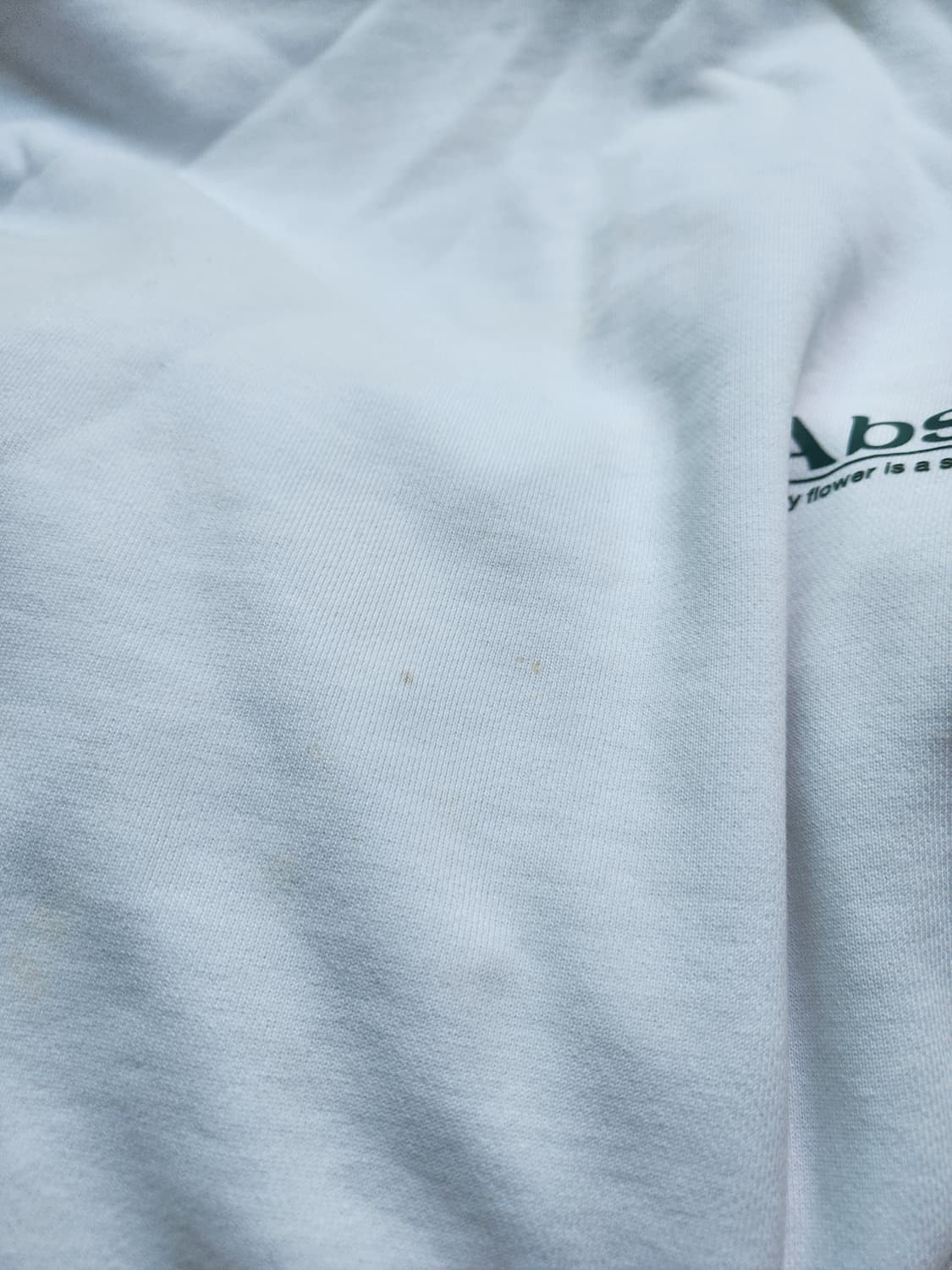 21fw 지오송지오 플라워 아트웍 프린팅 오버핏 맨투맨 95 상품이미지6